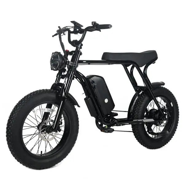 Adult Electric Fat-Tire Mountain Bike — 1000W Motor, 48V 20Ah Removable Battery, 45 MPH Top Speed