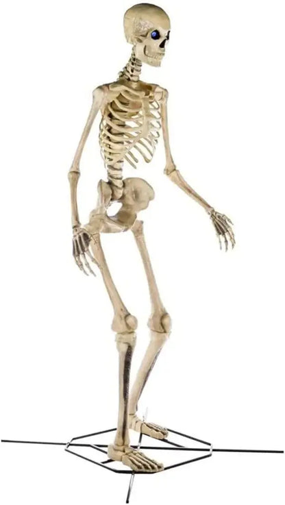 2025 Home Accents Giant 12-Foot Skeleton Decoration  Realistic LifeEyes Design (Model NO250058)