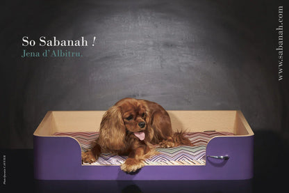 « Drôle de Panier » pour chien - Mauve Campanule