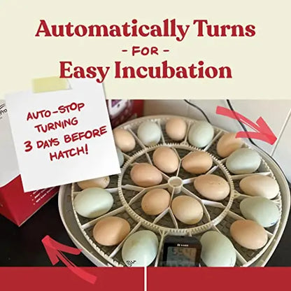 Harris Farms Nurture Right Egg Incubator for Hatching Chicks   Holds 22 Eggs