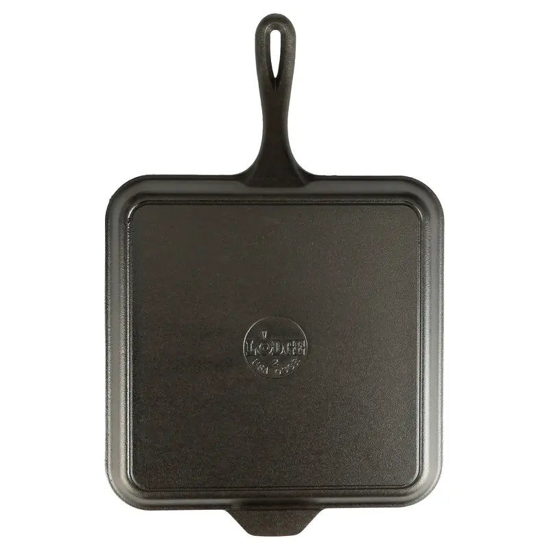 Lodge Seasoned Cast Iron 11
