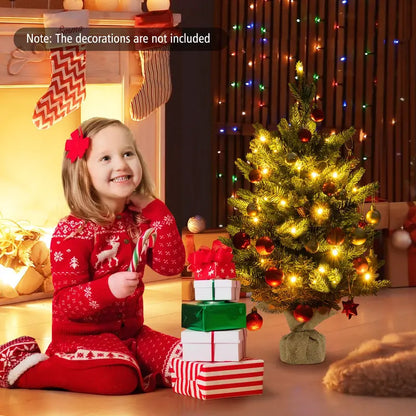 2-Foot Tabletop Pre-Lit Spruce Christmas Tree with 35 Warm White LED Lights