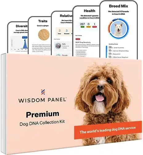Wisdom Panel Premium Dog DNA Kit: 265+ Health Tests, 365+ Breeds, 50+ Traits, Ancestry & Relatives  1 Pack
