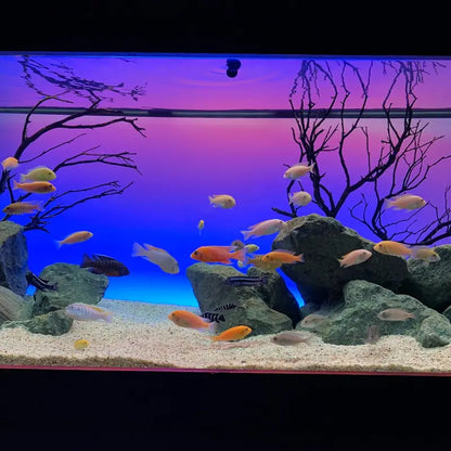 72-Inch Serene Aquarium Experience Kit: LED Light, Frosted Background Film, Audio Speaker & Backlight (Model 4028)