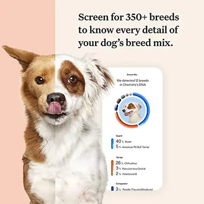 Wisdom Panel Premium Dog DNA Kit: 265+ Health Tests, 365+ Breeds, 50+ Traits, Ancestry & Relatives  1 Pack