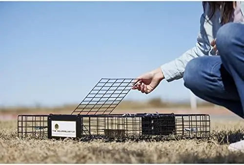 Rugged Ranch Squirrelinator Live Trap  Dual-Door, Heavy-Gauge Wire Cage for Humane Squirrel Relocation