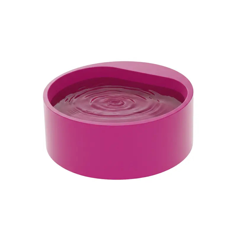 Corded Heated Water Bowl with LED Power Indicator for Pets