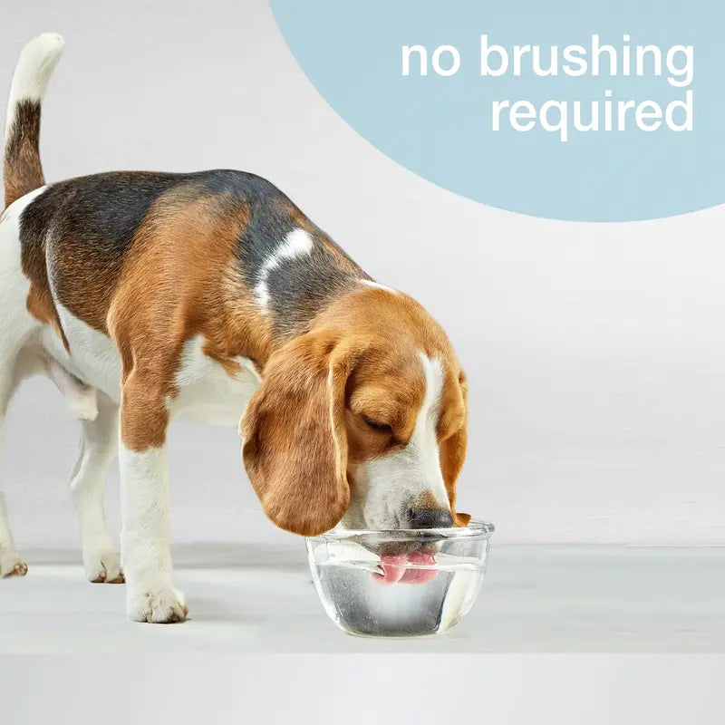Nylabone Advanced Oral Care Water Additive for Dogs  Liquid Tartar Remover Original 32 oz. (1 Count)