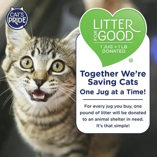 Cat’s Pride Max Power: UltraClean Low-Tracking Clumping Litter  99% Dust-Free, Unscented, 15 lbs  10 Days Odor Control