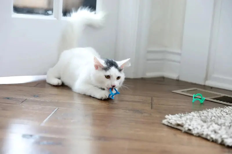 Cat Crazies Interactive Cat Toys Multi-Pack  Durable, Lightweight, Vibrant Design for Engaging Play
