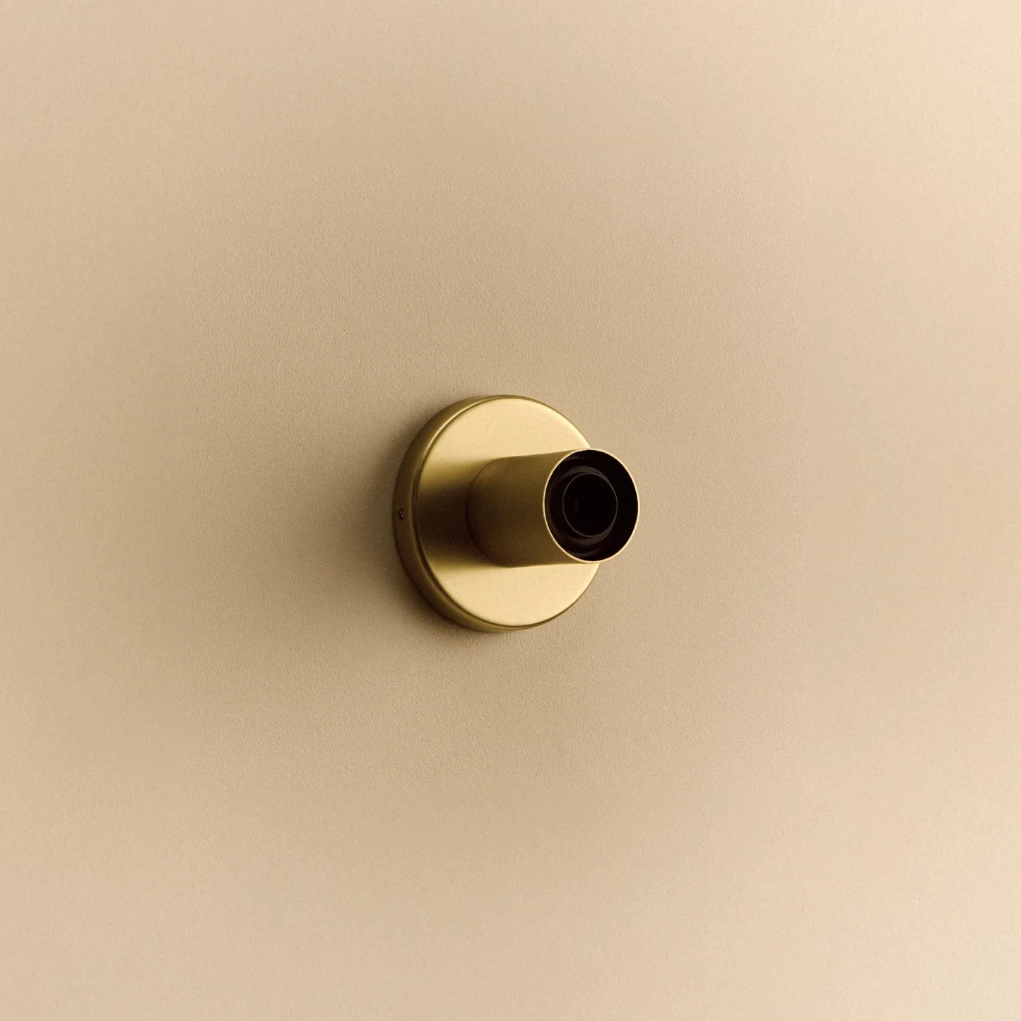 Lochan Wall Light in Brass