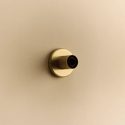 Lochan Wall Light in Brass