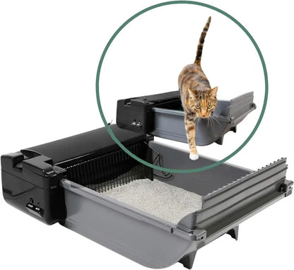 Pet Zone Self-Cleaning Cat Litter Box, Automatic Odor Control, Easy Maintenance, Quiet Motor, Ideal for Medium Cats