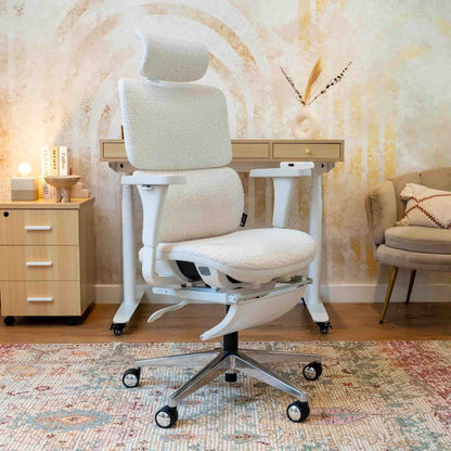 Chaise de bureau ergonomique et design - TERRANA Bouclette