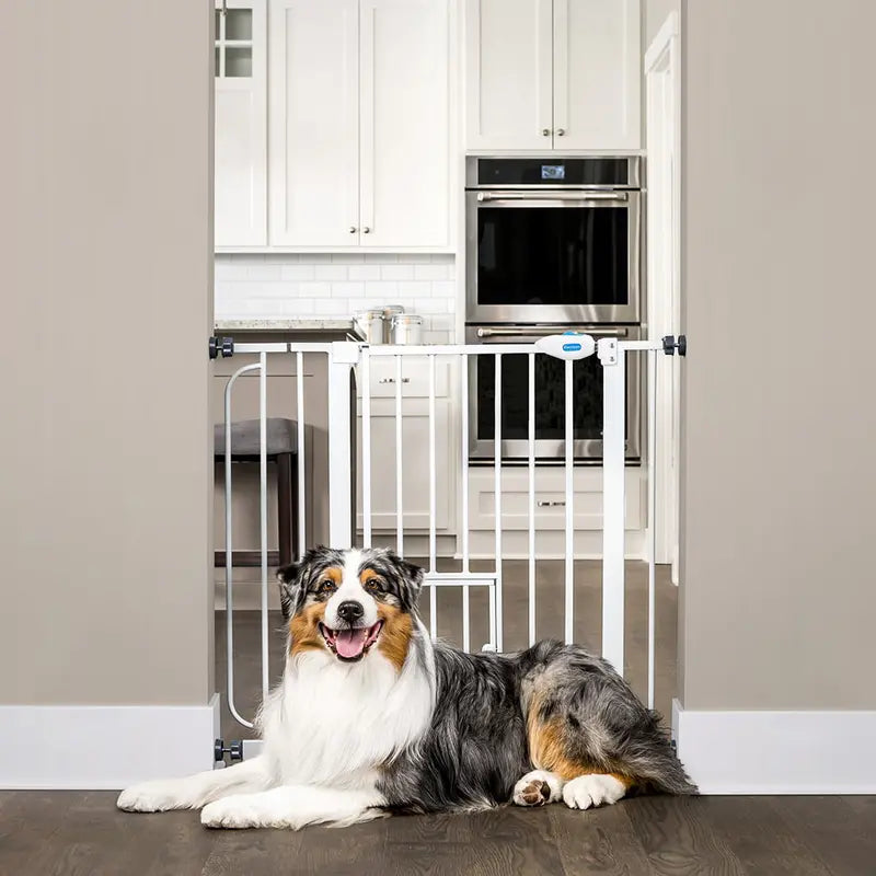 Carlson Extra Wide Walk Through Pet Gate with Small Pet Door, Pressure Mount Kit and Wall Mount Kit