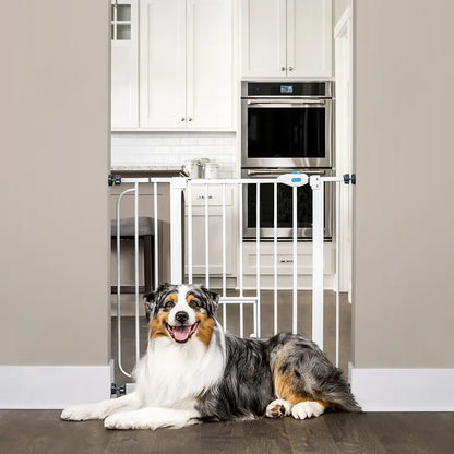 Carlson Extra Wide Walk Through Pet Gate with Small Pet Door, Pressure Mount Kit and Wall Mount Kit