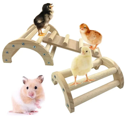 Natural Pine 3-in-1 Climbing Ramp Toy for Chicks, Hamsters & Gerbils  Safe, Durable Pet Accessory