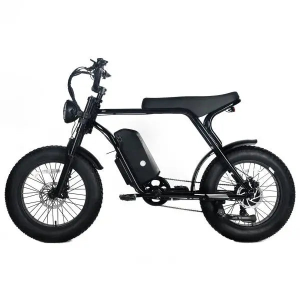 High-Performance Electric Mountain Bike  1000W Motor, 48V 20Ah Removable Battery, 45mph Top Speed, 20″x4.0″ Fat Tires, Shimano 7-Speed