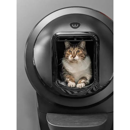Litter-Robot 4 Black Shield: Self-Cleaning Cat Litter Box