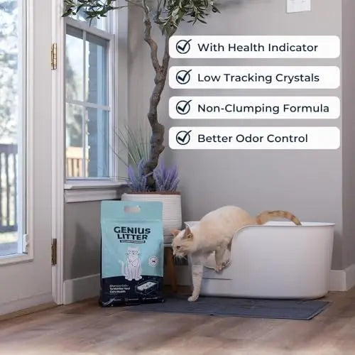 Genius Non-Clumping Color-Changing Cat Litter, As Seen on Shark Tank, 18 lb (3 Bags)