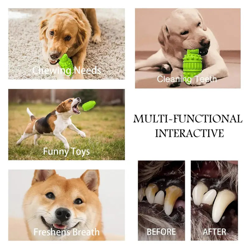 EcoPaws Natural Rubber Dog Toy, Medium to Large Breeds, Durable & Squeaky, Dental Health, Milk Flavor