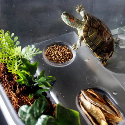 Deluxe Aquatic , Aquarium Box for Turtle Reptile Habitat Tank with Basking Ramp Platform Plants White