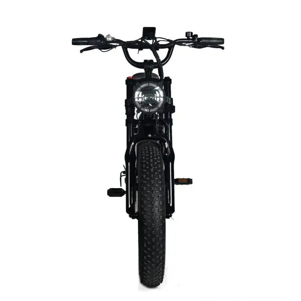 Adult Electric Fat-Tire Mountain Bike — 1000W Motor, 48V 20Ah Removable Battery, 45 MPH Top Speed