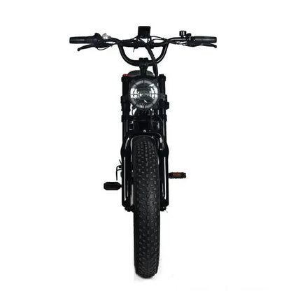 Adult Electric Fat-Tire Mountain Bike — 1000W Motor, 48V 20Ah Removable Battery, 45 MPH Top Speed