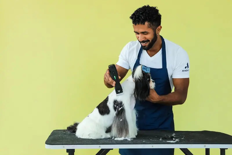 Andis Pulse Zr II Cordless Dog Clipper, 5-Speed, Detachable Blade, Removable Lithium-Ion Battery, LED Charge Light, Black