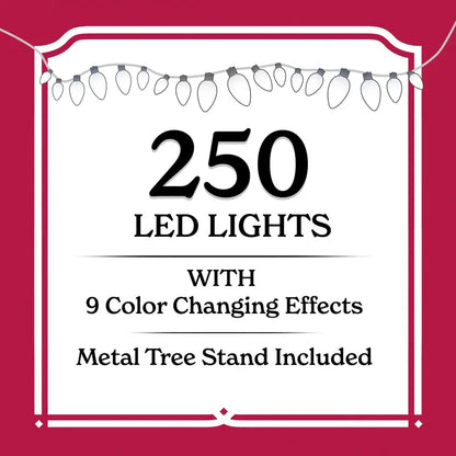 6.5 ft Pre-Lit Flocked Frisco Pine Christmas Tree with 250 LED Lights & Stand  Green/White