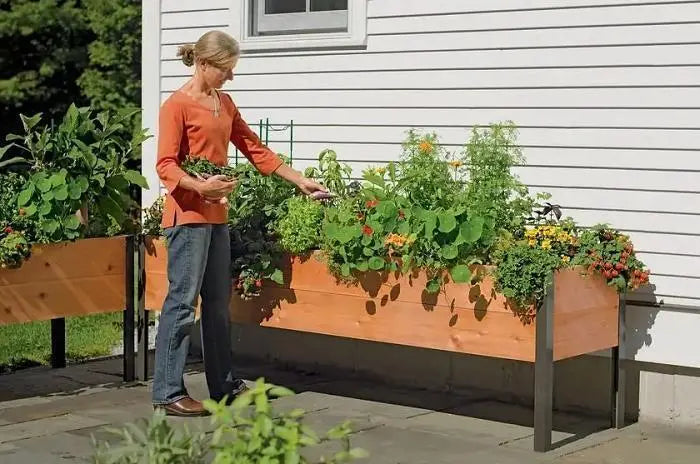 Eco-Friendly Elevated Planter Box for Sustainable Gardening