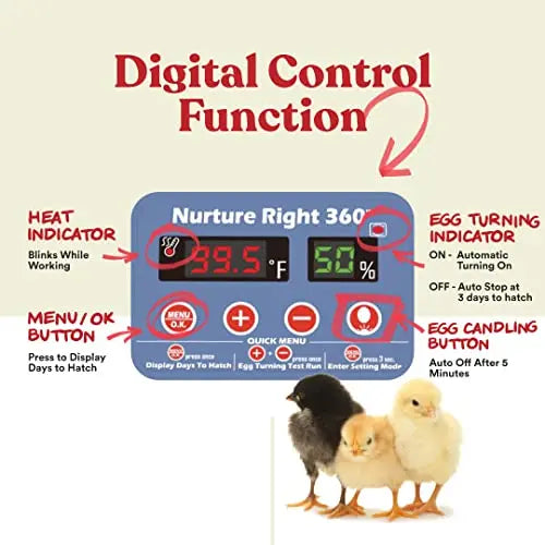 Harris Farms Nurture Right Egg Incubator for Hatching Chicks   Holds 22 Eggs