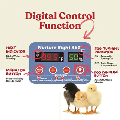 Harris Farms Nurture Right Egg Incubator for Hatching Chicks   Holds 22 Eggs