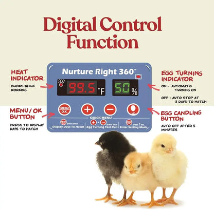 Automatic Egg Incubator  Holds 1222 Eggs, Digital Temp/Humidity Control, 360° Clear View Window, Built-In Turner