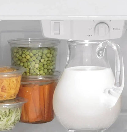 GE 21.9 Cu. Ft. Fingerprint Resistant Stainless Steel Garage Ready Top-Freezer Refrigerator