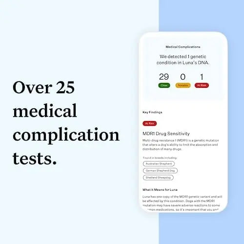 Wisdom Panel Essential Dog DNA Kit: Accurate Test for 365+ Breeds, 30 Health Conditions, 50+ Traits, Ancestry  1 Pack