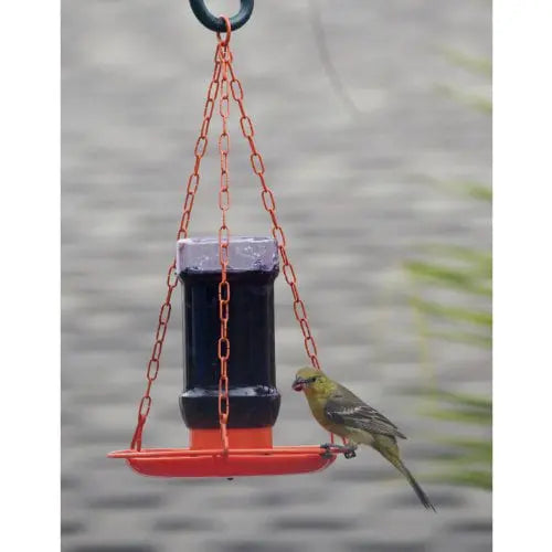 Perky-Pet Oriole Jelly Wild Bird Feeder  32 oz Capacity