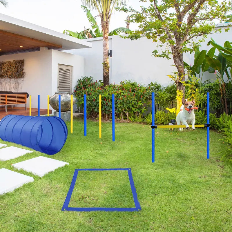 Pawhut 4PC Obstacle Dog Agility Training Course Kit Backyard Competitive Equipment- Blue, Yellow