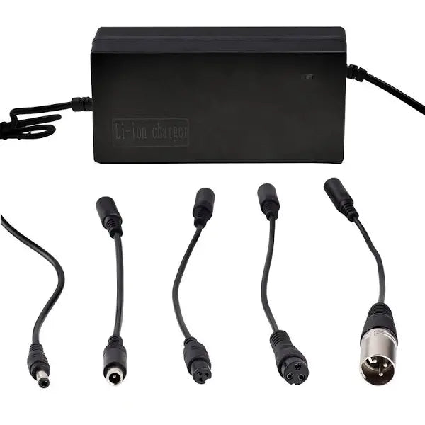 42V 2A Electric Bike Scooter Charger for Xiaomi 36V-42V Li-ion Battery 10S