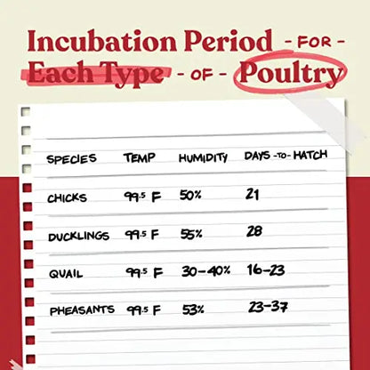 Harris Farms Nurture Right Egg Incubator for Hatching Chicks   Holds 22 Eggs