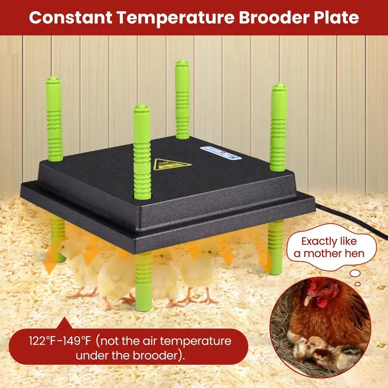 Tetuga Chick Brooder Box  Insulated Starter Kit for Newborn Chicks & Poults