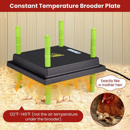 Tetuga Chick Brooder Box  Insulated Starter Kit for Newborn Chicks & Poults